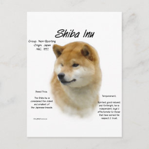 Postal Historia de los indios shiba