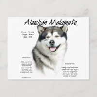 Historia de Malamute en Alaska, todo sobre Malamut