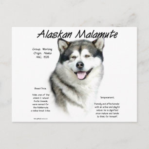 Postal Historia de Malamute en Alaska, todo sobre Malamut