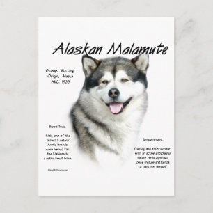 Postal Historia de Malamute en Alaska, todo sobre Malamut