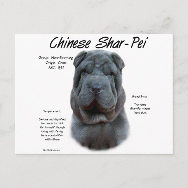 Postal Historia de Shar Pei, Sharpei, Shar-pei (Anverso)