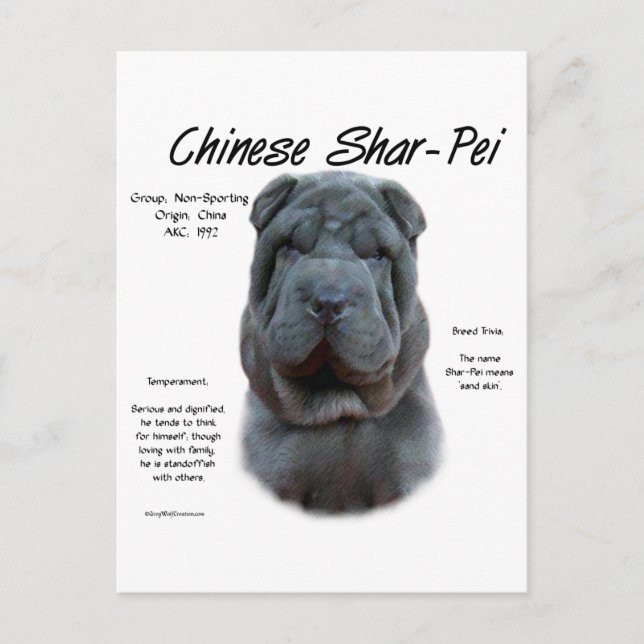 Postal Historia de Shar Pei, Sharpei, Shar-pei (Anverso)