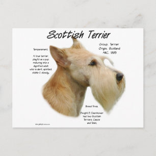 Postal Historia de Wheaten Scottie