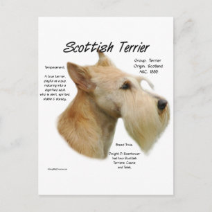 Postal Historia de Wheaten Scottie