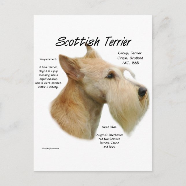 Postal Historia de Wheaten Scottie (Anverso)