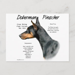 Postal Historia del Doberman Negro