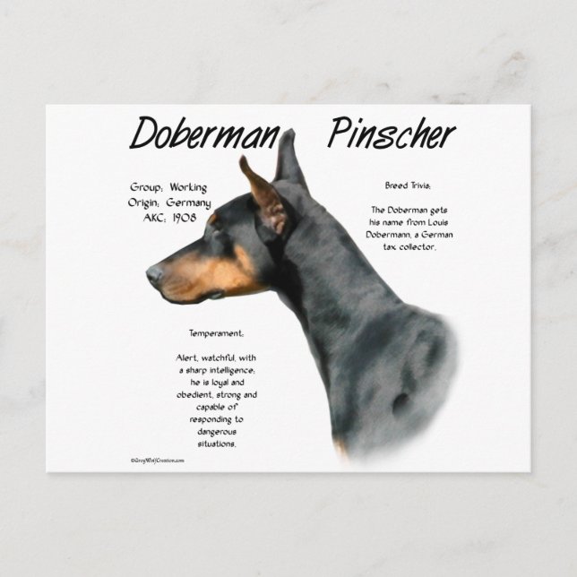 Postal Historia del Doberman Negro (Anverso)