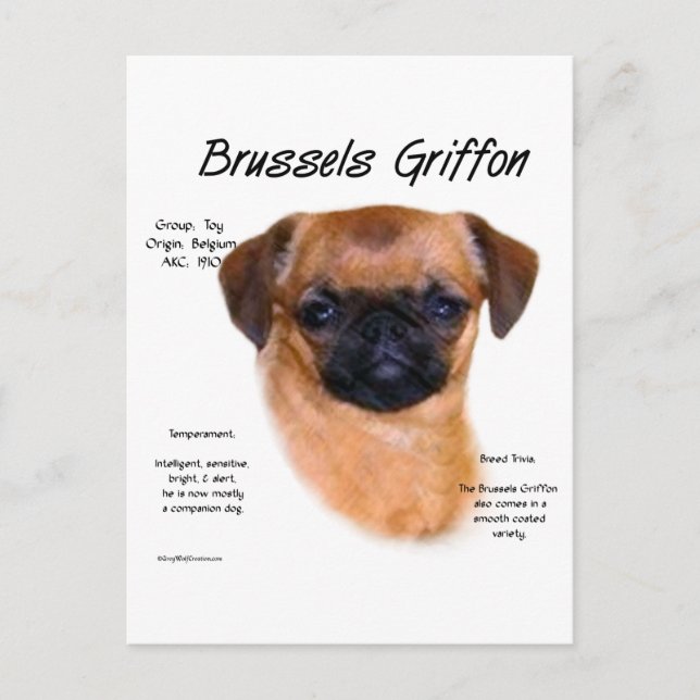 Postal Historia del Griffon de Bruselas suave (Anverso)