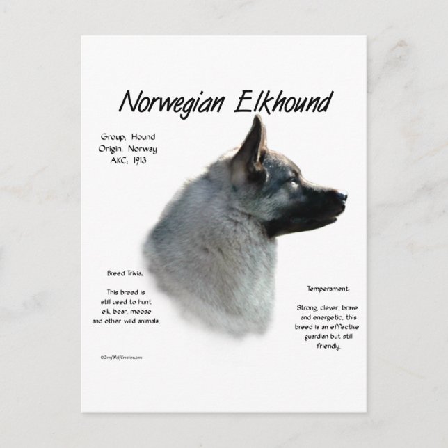 Postal Historia del Norwegian Elkhound Diseño (Anverso)