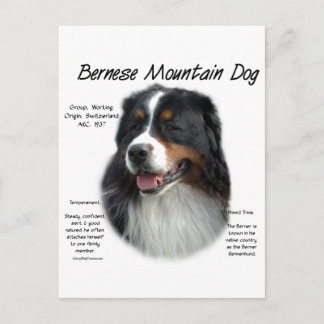 Postal Historia del perro de montaña de Bernese; todo sob