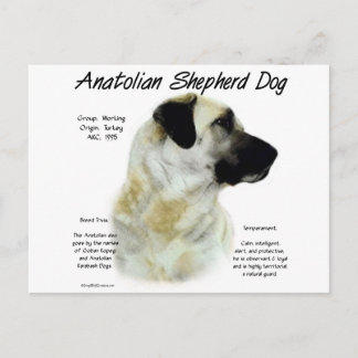 Postal Historia del perro pastor anatoliano