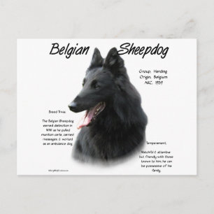 Postal Historia del Sheepdog belga; todo sobre los Sheepd