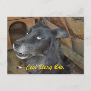 Postal Historia fresca Bro