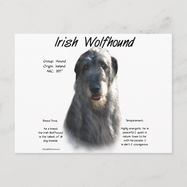 Postal Historia gris irlandesa del lobo (Anverso)