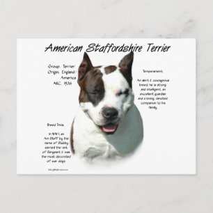 Postal Historia Terrier de American Staffordshire,
