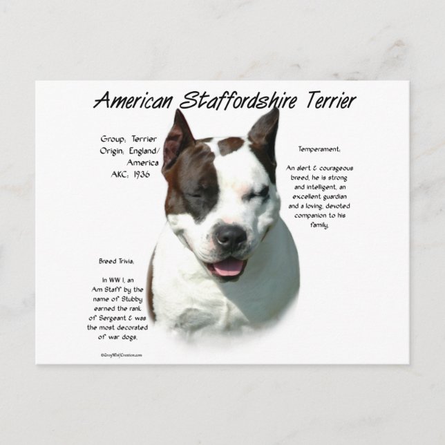Postal Historia Terrier de American Staffordshire, (Anverso)