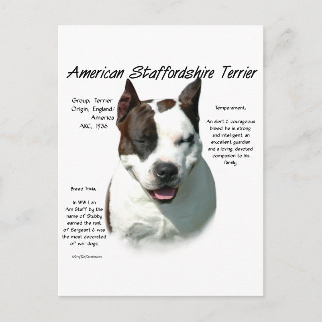 Postal Historia Terrier de American Staffordshire, (Anverso)
