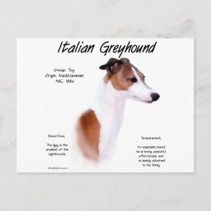 Postal Historial de diseño de Galgo Italiano