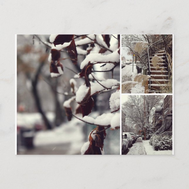 Postal Hiver (Anverso)