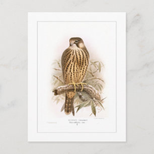 Postal Hobby