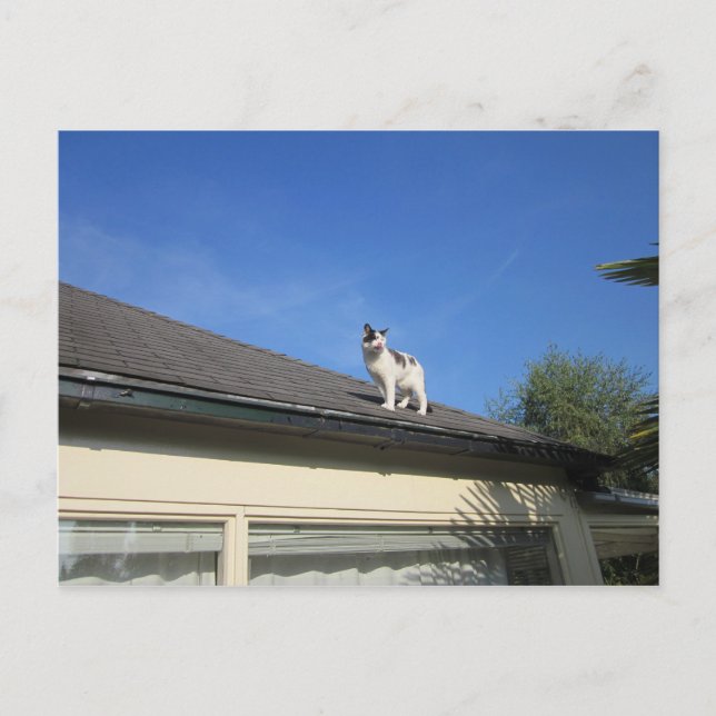 Postal Hoch hinaus (Anverso)