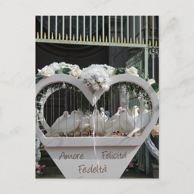 Postal Hochzeits Tauben warten auf das Brautpaar (Anverso)