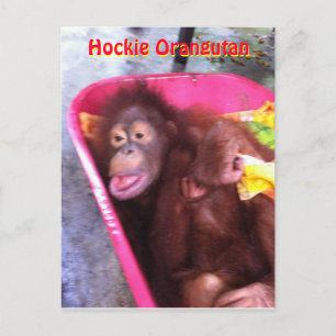 Postal Hockie Orangutan - un chica con necesidades especi