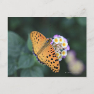 Postal Hodokubo, Hino, Tokio, Japón