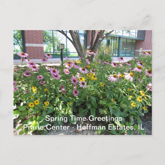 Postal Hoffman Estates, Illinois Prarie Center Greeting P (Anverso)