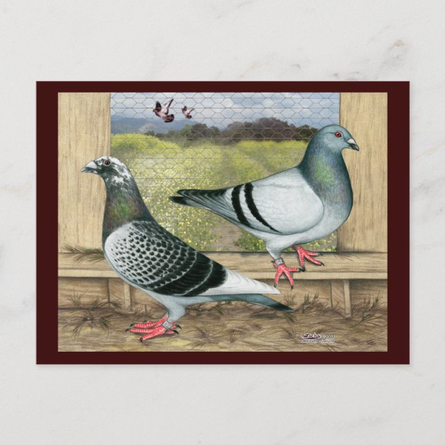 Postal Hogares de Carreras en Loft (Anverso)