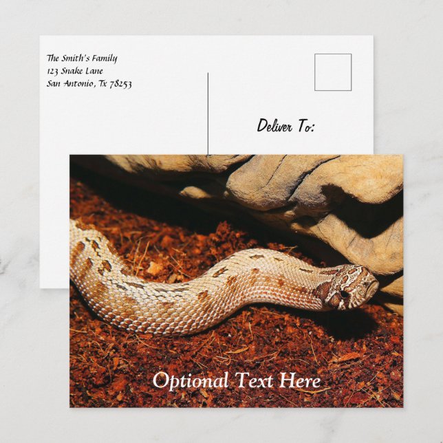Postal Hognose Mascota Snake (Anverso / Reverso)