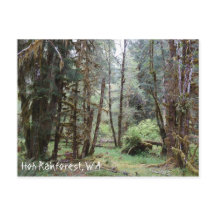 Hoh Rainforest, Estado de Washington, Postcard