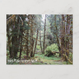Postal Hoh Rainforest, Estado de Washington, Postcard