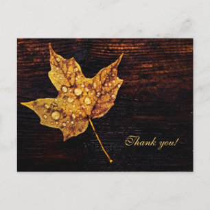 Postal Hoja de arce con gotas de lluvia sobre textura de