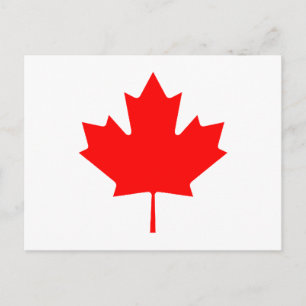 Postal Hoja de arce RedTransp los regalos de Zazzle del