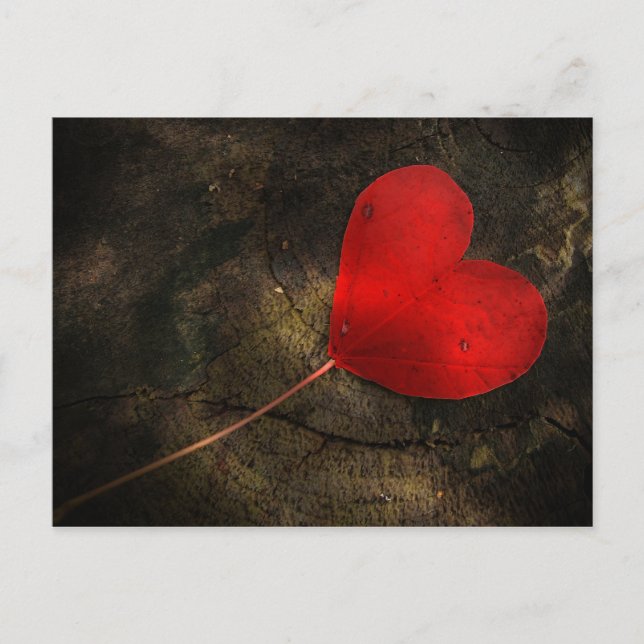 Postal Hoja de corazón (Anverso)