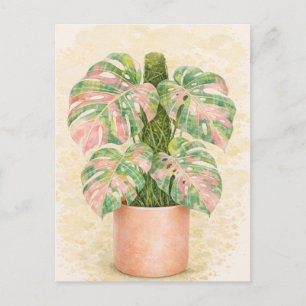 Postal hoja de monstera de cuadros rosas escocesa Escocia