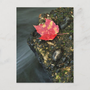 Postal Hoja de otoño