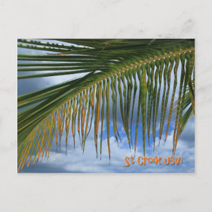 Postal Hoja de Palma