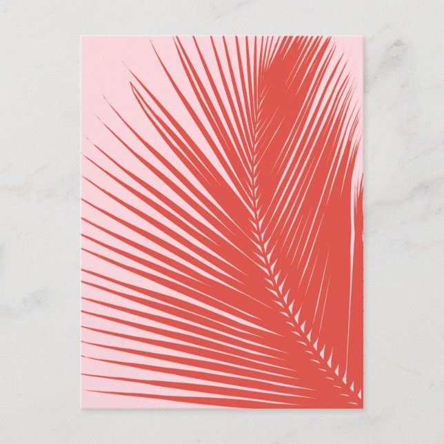 Postal Hoja de palma - Coral y cáscara rosa (Anverso)