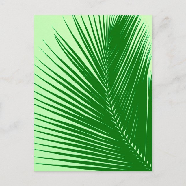 Postal Hoja de palma - verde esmeralda y lima (Anverso)