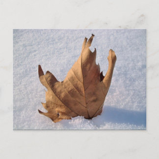 Postal Hoja en la nieve, cuando el otoño se encuentra con