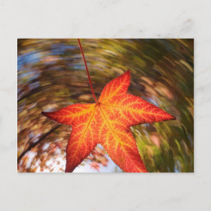Postal Hoja que cae de un árbol en otoño