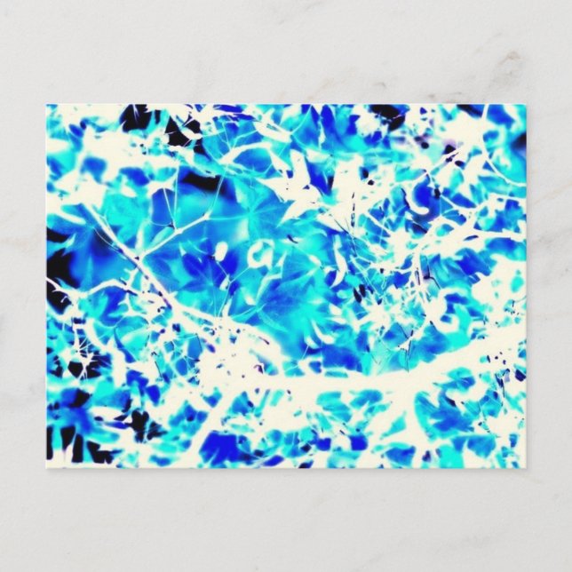 Postal Hojas (Anverso)