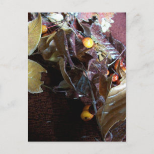 Postal Hojas caídas