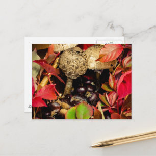 Postal Hojas, castañas y setas de otoño