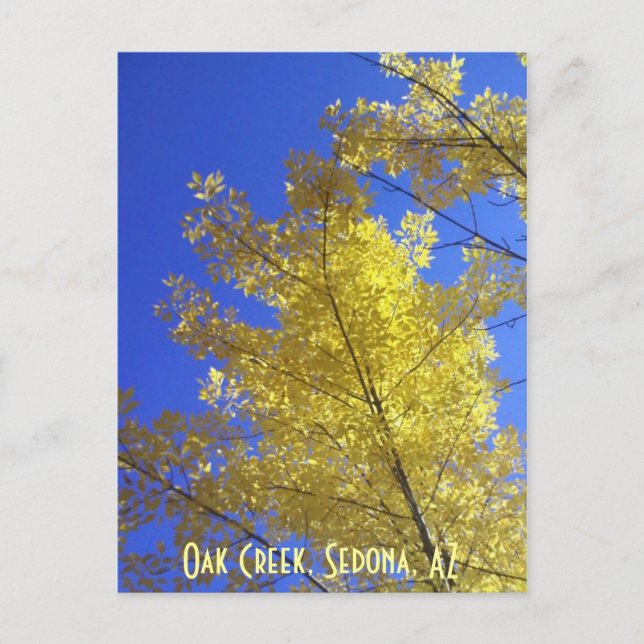 Postal Hojas, Creek de roble, Sedona, AZ (Anverso)