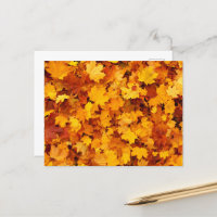 Hojas de arce de otoño