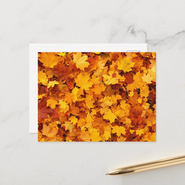 Postal Hojas de arce de otoño (Anverso/Reverso In Situ)