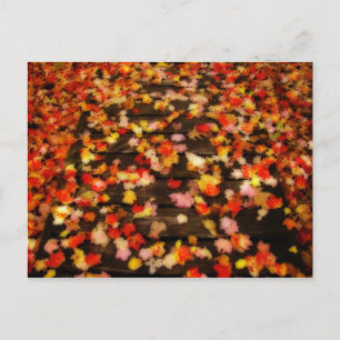 Postal Hojas de arce de otoño de color rojo brillante